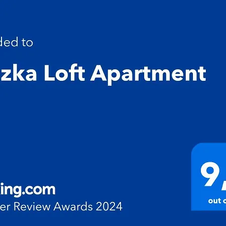 Apartament Leszka Loft